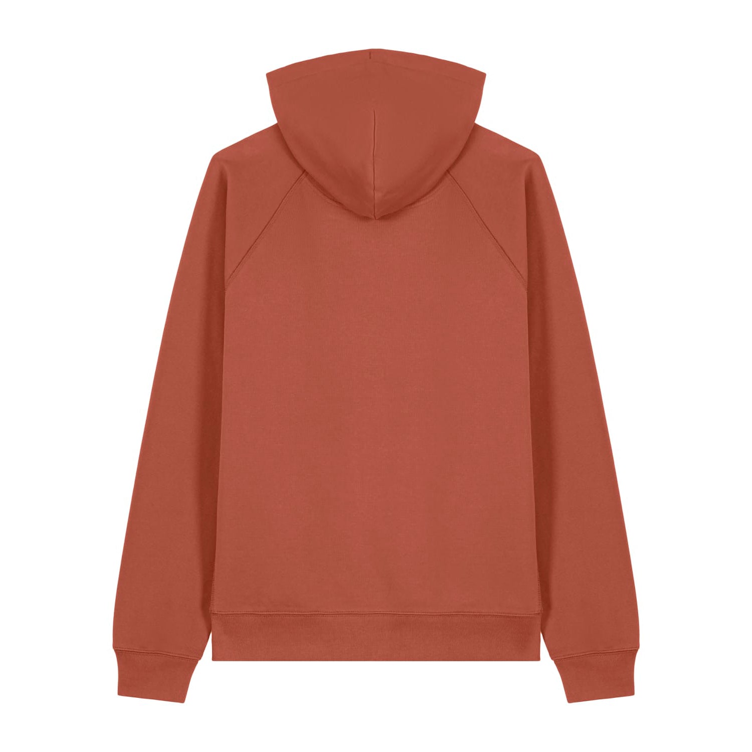 Rust Organic Cotton Relax Fit Hoody image 1